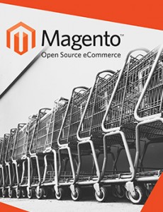 magento-ecommerce